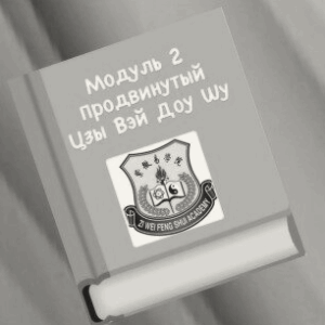 МОДУЛЬ 2. ПРОДВИНУТЫЙ ЦЗЫ ВЭЙ ДОУ ШУ
