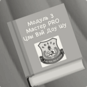 МОДУЛЬ 3. МАСТЕР PRO ЦЗЫ ВЭЙ ДОУ ШУ