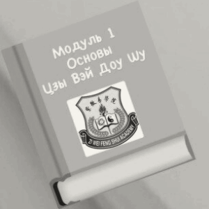 МОДУЛЬ 1. БАЗОВЫЙ ЦЗЫ ВЭЙ ДО ШУ